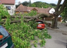 Kwikfynd Tree Cutting Services
eastend